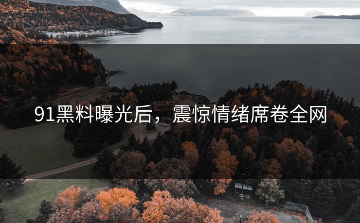 91黑料曝光后，震惊情绪席卷全网