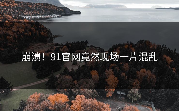 崩溃！91官网竟然现场一片混乱