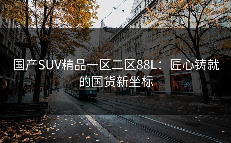 国产SUV精品一区二区88L：匠心铸就的国货新坐标