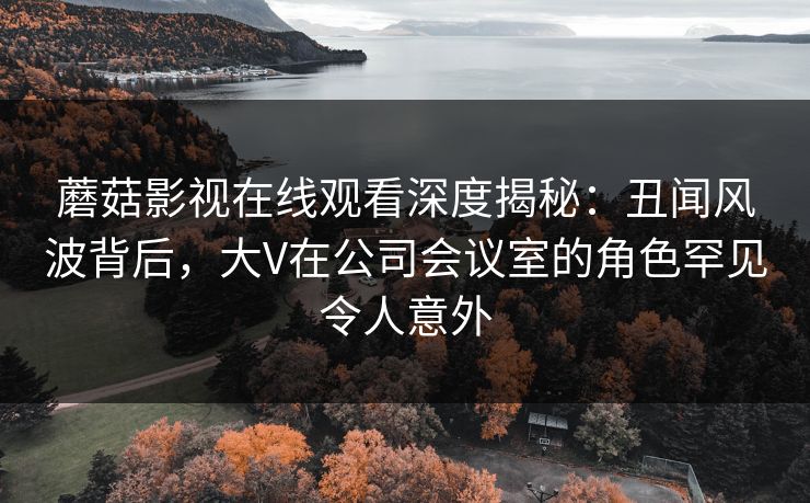 蘑菇影视在线观看深度揭秘：丑闻风波背后，大V在公司会议室的角色罕见令人意外