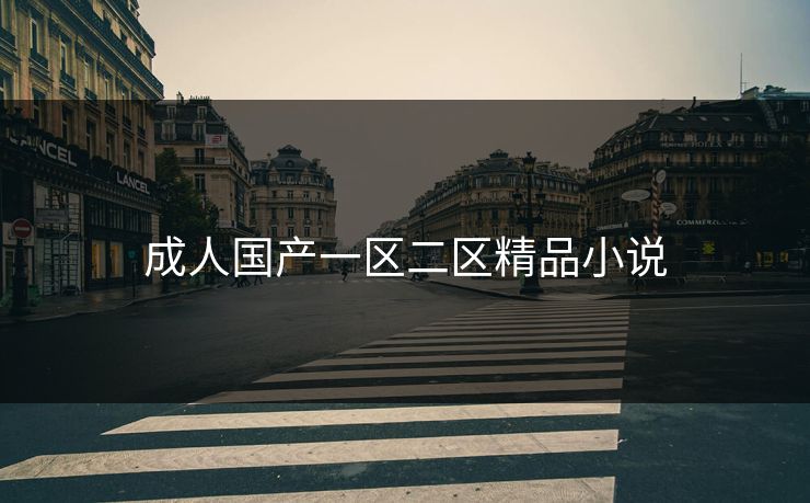 成人国产一区二区精品小说